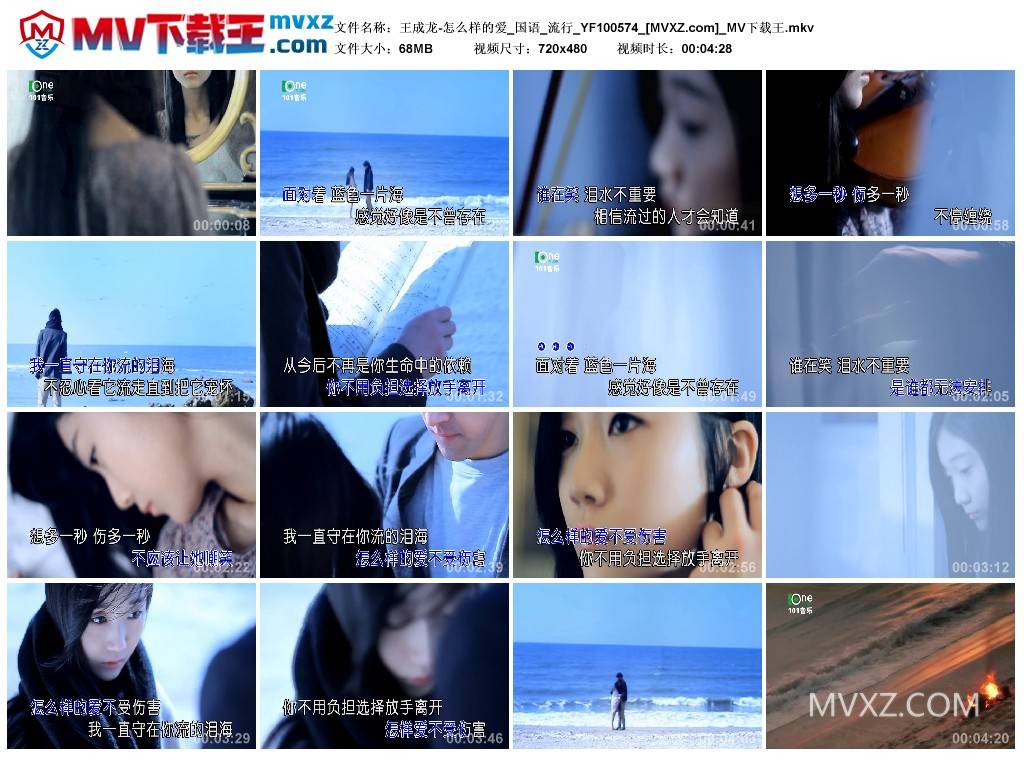 王成龙-怎么样的爱_国语_流行_YF100574